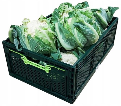 SKRZYNKA SKŁADANA 600x400x219MM CIEMNO-ZIELONA