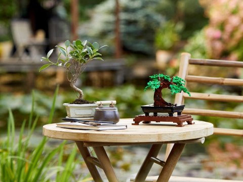LEGO CREATOR - DRZEWKO BONSAI 10281 LEGO CREATOR - DRZEWKO BONSAI 10281