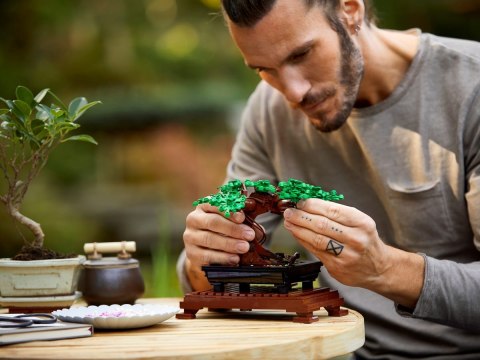 LEGO CREATOR - DRZEWKO BONSAI 10281 LEGO CREATOR - DRZEWKO BONSAI 10281