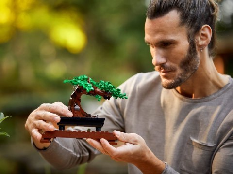 LEGO CREATOR - DRZEWKO BONSAI 10281 LEGO CREATOR - DRZEWKO BONSAI 10281