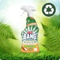 CILLIT BANG NATURALLY POWERFUL KUCHNIA 750ML SPRAY