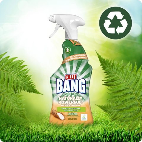 CILLIT BANG NATURALLY POWERFUL KUCHNIA 750ML SPRAY CILLIT BANG NATURALLY POWERFUL KUCHNIA 750ML SPRAY