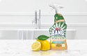 CILLIT BANG NATURALLY POWERFUL ŁAZIENKA 750ML SPRAY