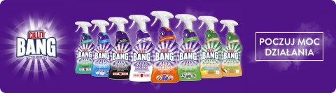 CILLIT BANG POWER CLEANER PLEŚń I CZARNE OSADY 750ML SPRAY CILLIT BANG POWER CLEANER PLEŚń I CZARNE OSADY 750ML SPRAY