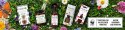 AIR WICK ELEKTRYCZNY TAJEMNICZE OGRODY Z DZIECIńSTWA/MYSTICAL GARDENS 19 ML WKŁAD