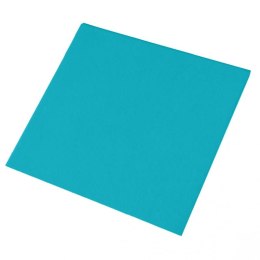 ALL PURPOSE CLOTH - ŚCIERKA UNIWERSALNA ZIELONA - 1 SZT.