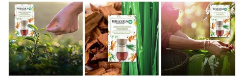 BOTANICA BY AIR WICK KARAIBSKI WETIWER & DRZEWO SANDAŁOWE/CARIBBEAN VETIvER & SANDALWOOD 19ML KOMPLET BOTANICA BY AIR WICK KARAIBSKI WETIWER & DRZEWO SANDAŁOWE/CARIBBEAN VETIvER & SANDALWOOD 19ML KOMPLET