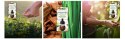 BOTANICA BY AIR WICK KARAIBSKI WETIWER & DRZEWO SANDAŁOWE/CARIBBEAN VETIvER & SANDALWOOD 19ML WKŁAD