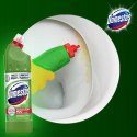 DOMESTOS PŁYN DO CZYSZCZENIA WC PINE FRESH 750ML