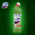 DOMESTOS PŁYN DO CZYSZCZENIA WC PINE FRESH 750ML