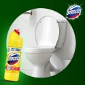 DOMESTOS PRZEDŁUŻONA MOC CITRUS FRESH ŻEL DO WC 750ML