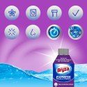 BRYZA EXPRESS PŁYN DO CZYSZCZENIA PRALKI 250ML
