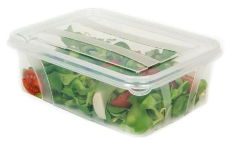 POJEMNIK MASTER FOOD - KPL TRANSPARENT