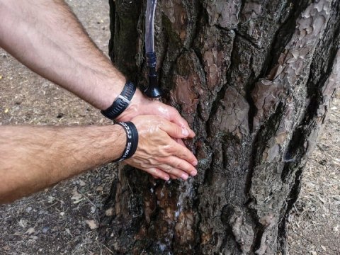 PRYSZNIC TURYSTYCZNY