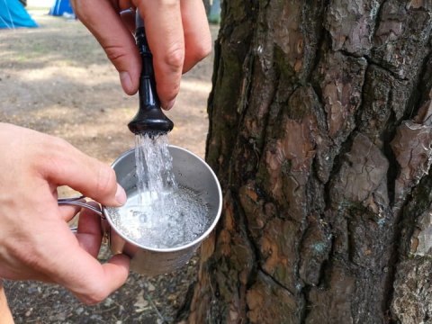 PRYSZNIC TURYSTYCZNY