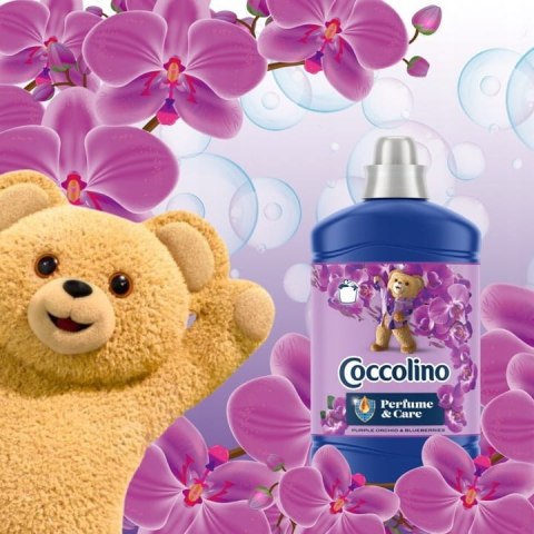 COCCOLINO PERFUME&CARE PURPLE ORCHID & BLUEBERRIES 1600ML COCCOLINO PERFUME&CARE PURPLE ORCHID & BLUEBERRIES 1600ML