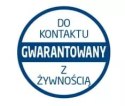 RĘCZNIK PAPIEROWY FOXY TORNADO - 1 SZT.
