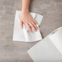RĘCZNIK PAPIEROWY 1R SŁONIK JUMBO MAXI 300 LIST 2W - 1 SZT.
