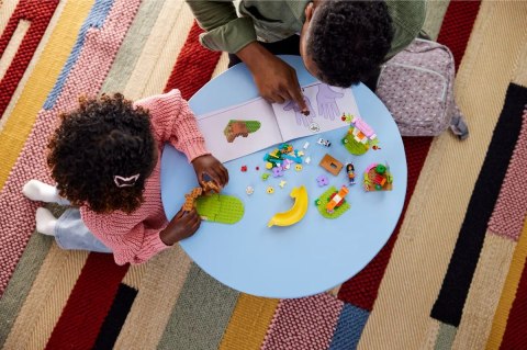 10787 - LEGO KOCI DOMEK GABI - PRZYJĘCIE W OGRODZIE WRÓŻKICI