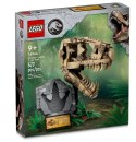 76964 - LEGO JURASSIC WORLD - SZKIELETY DINOZAURÓW — CZASZKA TYRANOZAURA