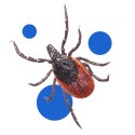 BROS - SPRAY NA KOMARY I KLESZCZE 50% DEET 90ML - 1 SZT.