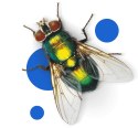 BROS - SPRAY NA KOMARY I KLESZCZE 50% DEET 90ML - 2 SZT.
