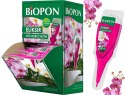 BOPON - ELIKSIR DO STORCZYKÓW 40ML - DISP - 36 SZT.