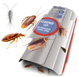 BROS - FEROMOx STANDARD - LEP NA KARALUCHY, PRUSAKI, RYBIKI - 1 SZT.