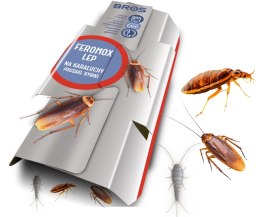 BROS - FEROMOx STANDARD - LEP NA KARALUCHY, PRUSAKI, RYBIKI - 10 SZT.