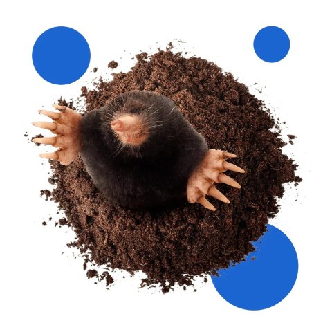 BROS - KARBID GRANULOWANY 500G BROS - KARBID GRANULOWANY 500G