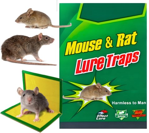 LEP NA MYSZY I SZCZURY PAKO - 10 SZT.