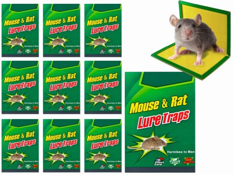 LEP NA MYSZY I SZCZURY PAKO - 10 SZT.