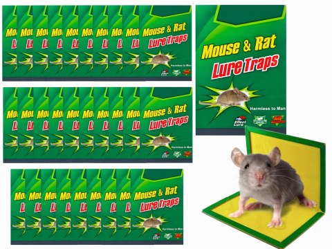 LEP NA MYSZY I SZCZURY PAKO - 30 SZT.
