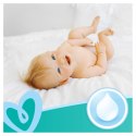 PAMPERS CHUSTECZKI NAWILŻANE FRESH CLEAN 52 SZT. - 12 OP.