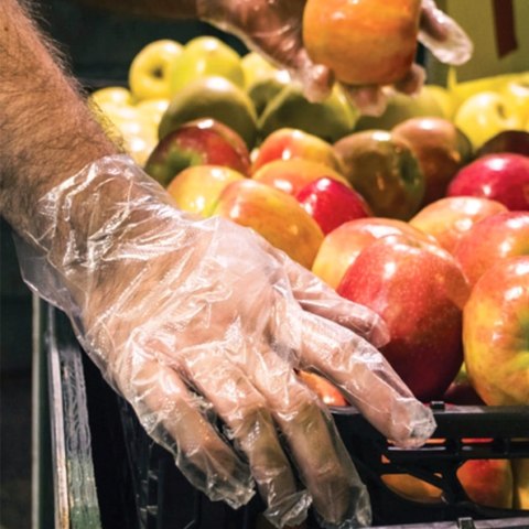 RĘKAWICE FOLIOWE 100 SZTUK / PRZEźROCZYSTE / ROZMIAR: 9 - L / RFOLIAPEL - 10 SZT.