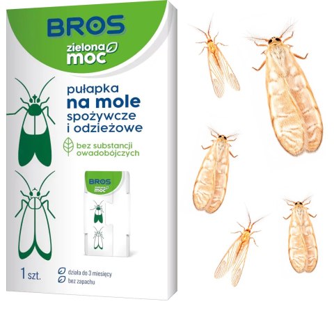 BROS - ZIELONA MOC PUŁAPKA NA MOLE SPOŻYWCZE I ODZIEŻOWE - 10 SZT. BROS - ZIELONA MOC PUŁAPKA NA MOLE SPOŻYWCZE I ODZIEŻOWE - 10 SZT.