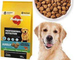 PEDIGREE ADULT PROFESSIONAL NUTRITION 12 KG Z WOŁOWINĄ I WARZYWAMI - SUCHA KARMA DLA DOROSŁYCH PSÓW DUŻYCH I ŚREDNICH RAS