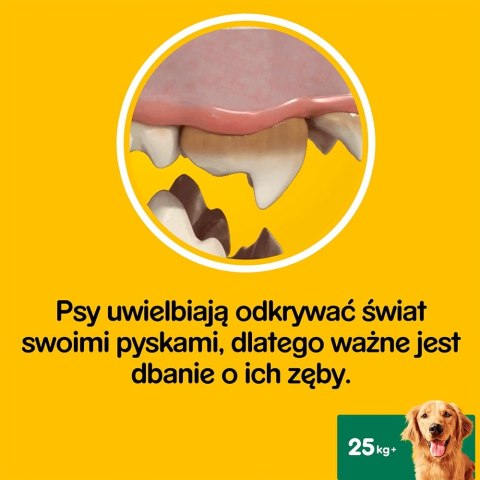 PEDIGREE DENTASTIx DUŻE RASY (25KG+) 8x270G PEDIGREE DENTASTIx DUŻE RASY (25KG+) 8x270G