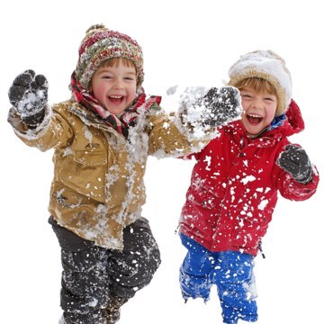 SANKI DREWNIANE PAKO 25217