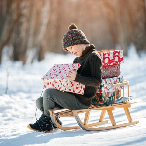 SANKI DREWNIANE PAKO 25217