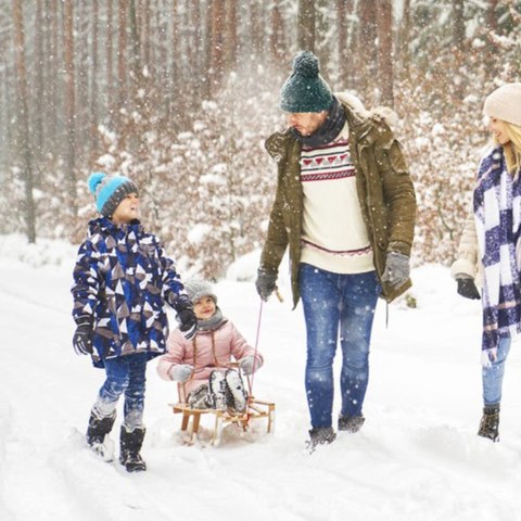 SANKI DREWNIANE PAKO 25217