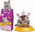 WHISKAS SUCHA KURCZAK 14KG