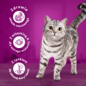 WHISKAS SUCHA KURCZAK 14KG