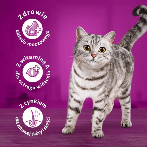 WHISKAS SUCHA KURCZAK 14KG WHISKAS SUCHA KURCZAK 14KG