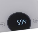 WAGA KUCHENNA - DO 10KG - LED ADLER AD 3173 SILvER