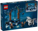 76432 - LEGO HARRY POTTER - ZAKAZANY LAS: MAGICZNE STWORZENIA