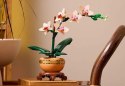10343 - LEGO THE BOTANICAL COLLECTION - MAŁA ORCHIDEA
