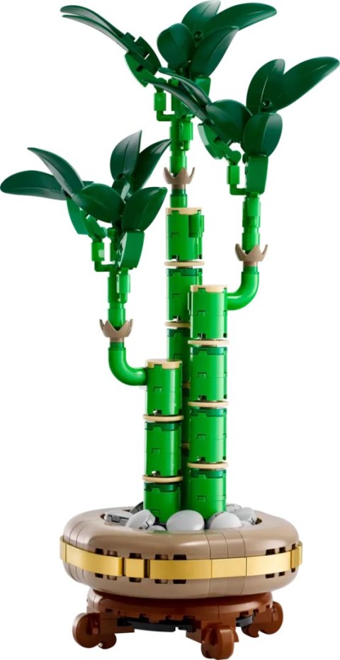 10344 - LEGO THE BOTANICAL COLLECTION - DRACENA SANDERA 10344 - LEGO THE BOTANICAL COLLECTION - DRACENA SANDERA