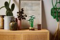 10344 - LEGO THE BOTANICAL COLLECTION - DRACENA SANDERA