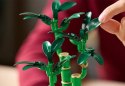 10344 - LEGO THE BOTANICAL COLLECTION - DRACENA SANDERA